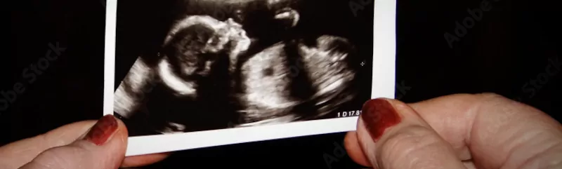 /20241228_kd_ma_lidstvo_nadeji_zabranit_zaniku_civilizace/featured-image-preview.webp /20241228_kd_ma_lidstvo_nadeji_zabranit_zaniku_civilizace/featured-image-preview.webp