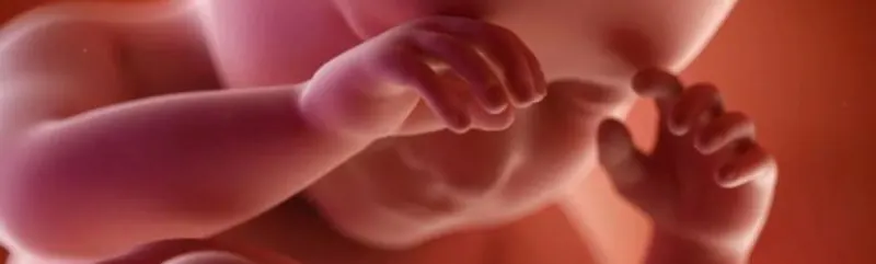 /20250626_rm_satanuv_chram_otevira_potratovou_kliniku/featured-image-preview.webp /20250626_rm_satanuv_chram_otevira_potratovou_kliniku/featured-image-preview.webp